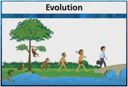 evolution degeneration